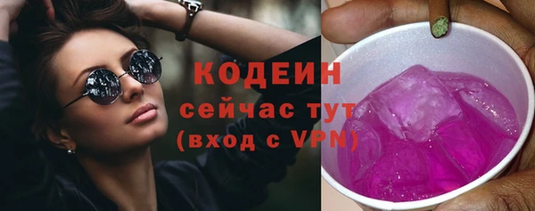 бошки Гатчина