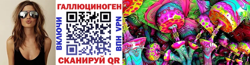 Галлюциногенные грибы мицелий  дарк нет как зайти  Каменка 